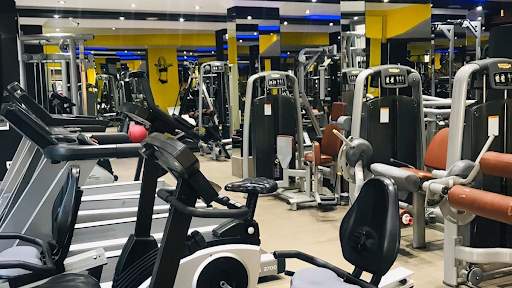 Performance Gym Fitness
