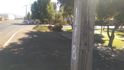 Photos of Proverbial y jardin los cedros
