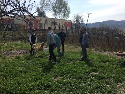 Pets & Partners Albania, International Pet Hospital Tirana