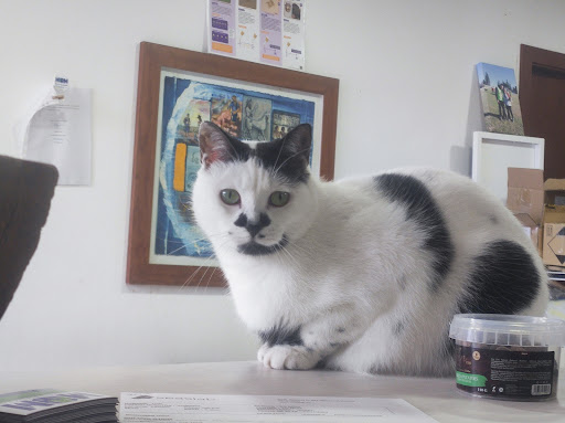 Centro veterinario MOM