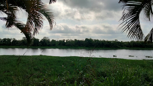 Tecolutla veracuz - Thumbnail