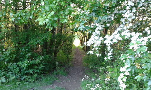 Waterthorpe Park - Thumbnail