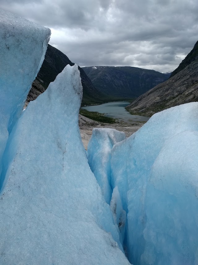 Nigardsbreen