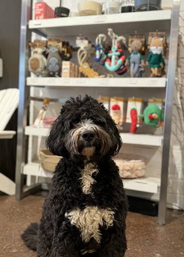 Urban Almanac General Store Gallery - Canada