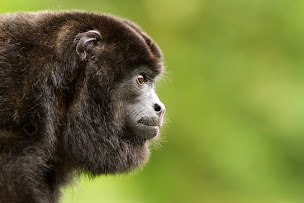 Photo n°1 de EGPN Lyon - École de Gestion et Protection de la Nature - Bachelor et Master of Science à Lyon (École)