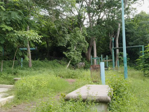 Amates Park - Visual