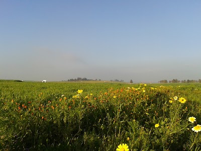 Photos of Commune Rurale Loulad