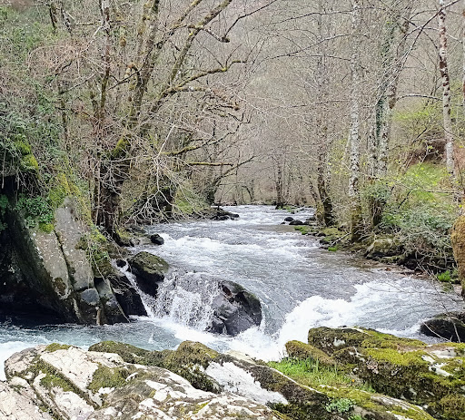 Ribera del Eo - Visual