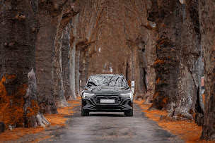 Photo n°5 de Audi Mont de Marsan - Faurie à Saint-Avit (Vendeur de voitures d'occasion)