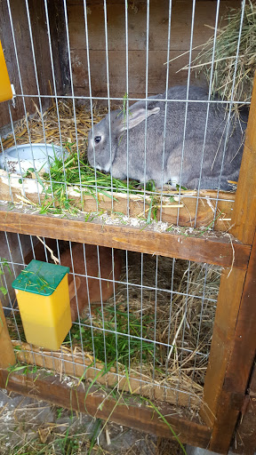 Bienenfarm Kern - Thumbnail