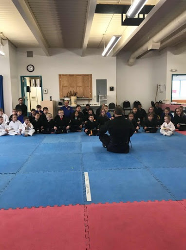 American Martial Arts Systems - Thumbnail