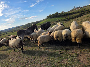 Photo n°61 de Ferme de castel pouzouilh à Le Fossat (Maraîcher)