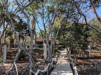 Photos of Local House Hostel Isla Grande