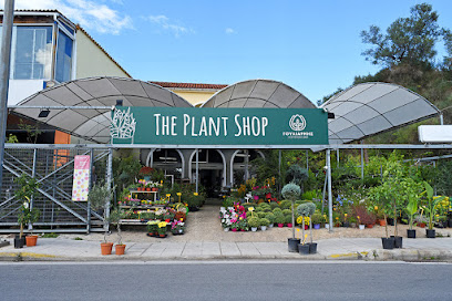 Γουλιαρμής Παναγροτική Κερκύρας