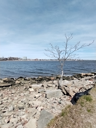Dorchester Shores Pavilion