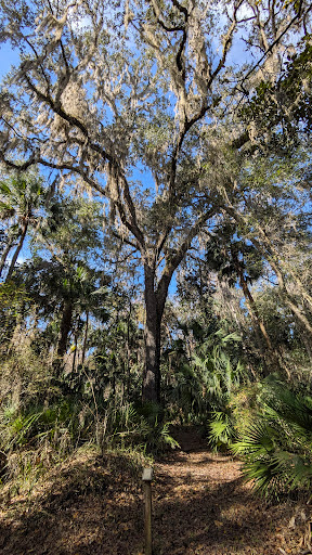 Bluffton Interpretative Trail - Visual