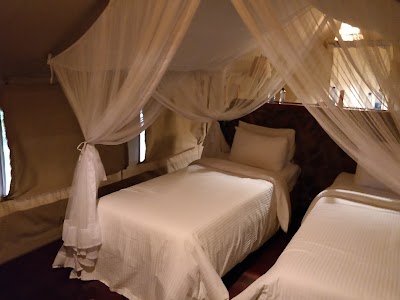 Photos of Sarova Mara Game Camp - Masai Mara