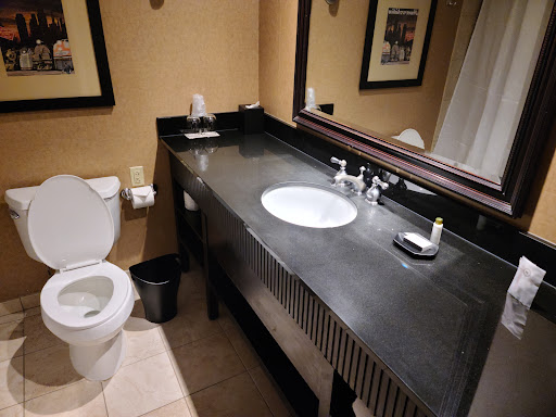 Sheraton Lisle Naperville Hotel - Thumbnail