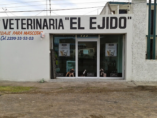 Veterinaria El Ejido
