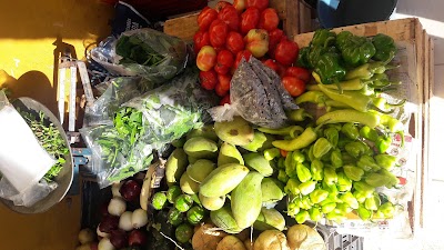 Photos of Mercado Municipal