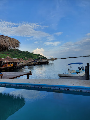 Hotel Coconuts - Visual