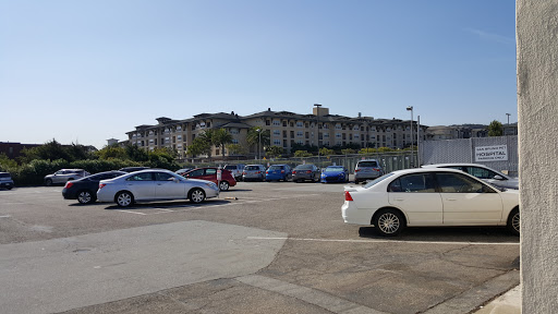 San Bruno Pet Hospital - Thumbnail
