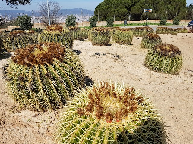 Jardí Botànic de Barcelona
