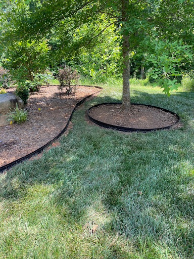 Curv-Rite - Visual