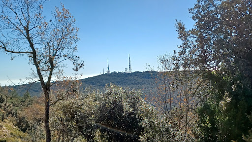 Colina del Tipasso - Thumbnail