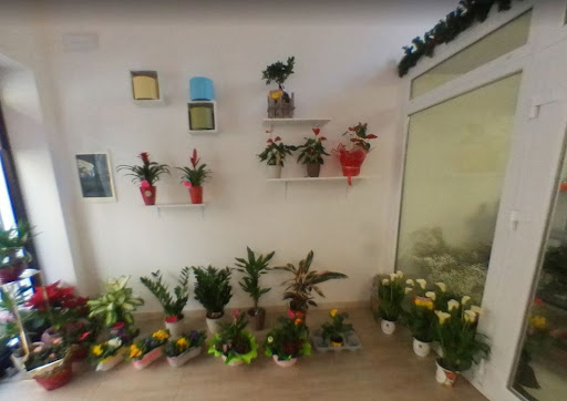 FLORA DE LUXE - Visual