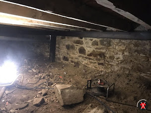 Photo n°10 de Axylvestre à Lorient (Service d'extermination des nuisibles)