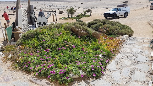 Skeleton Coast Park