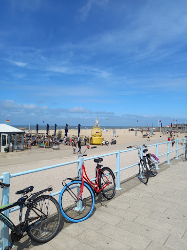 The Shore Scheveningen - Thumbnail