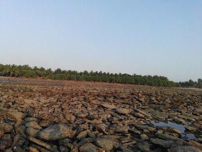 Photos of Shayari Eco Resort