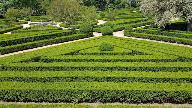 Jardim Botanico de Lisbonne