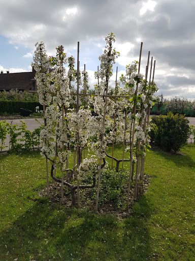 Boomkwekerij en Groenbedrijf De Fruittuin - Thumbnail