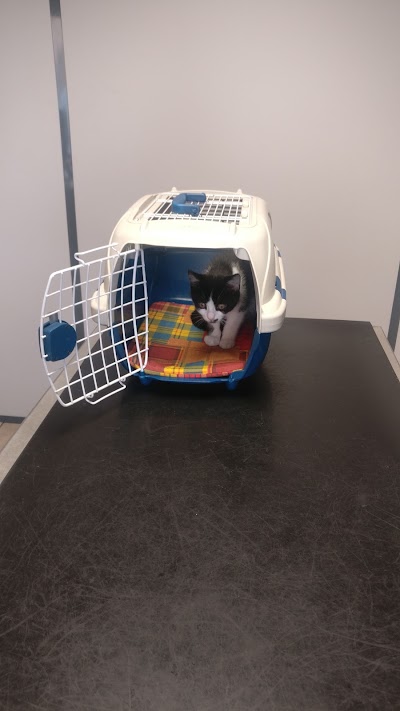 veterinary-care