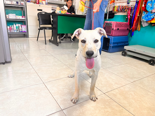 Veterinaria Queto - Thumbnail