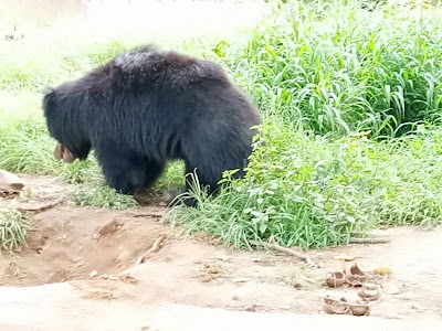 Gwalior Zoo