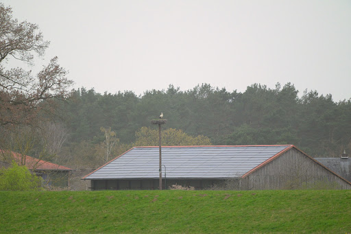 Storchennest Gorleben - Thumbnail