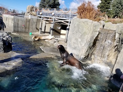 Rocky Shores at Hogle Zoo