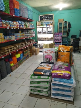 Petshop Rumah Kucing Pamulang, Author: Petshop Rumah Kucing Tomang