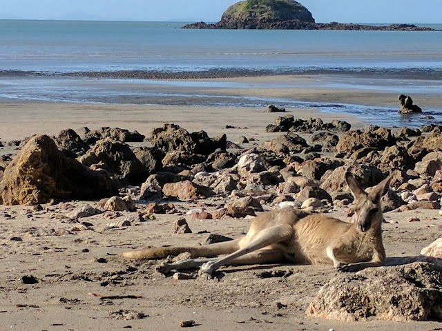 Cape Hillsborough National Park