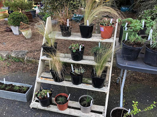 Val's Plant Stall