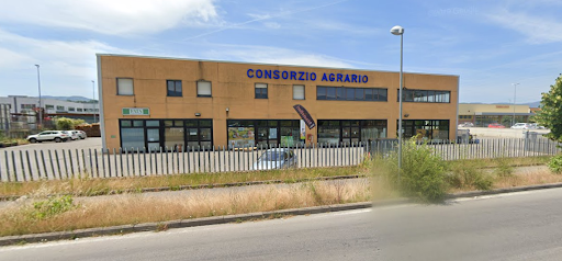 Cattolica Assicurazioni Montevarchi - Capsi Servizi Assicurativi - Italy