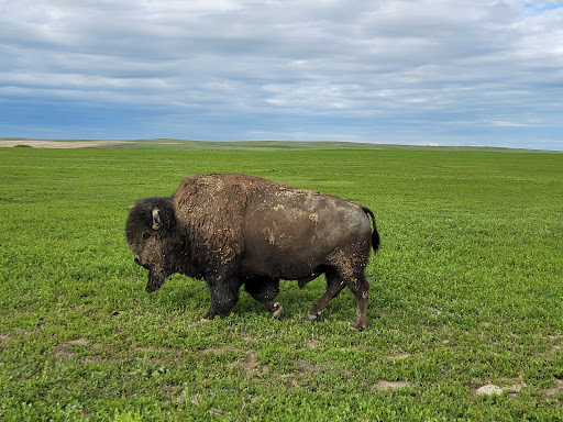 White River Visitor Center - Thumbnail