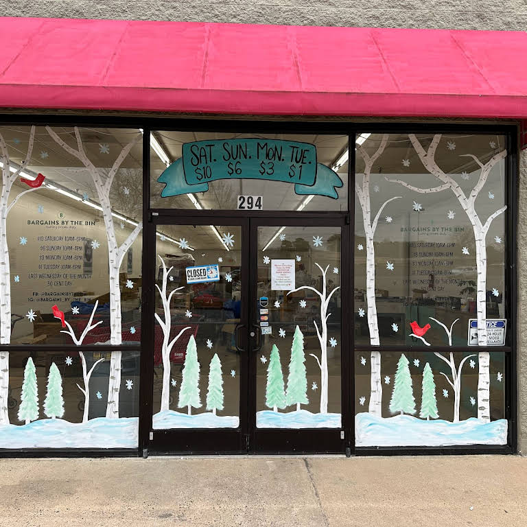 Bargains by the Bin Bin Store