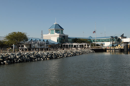 River & Bay Authority Police - Thumbnail