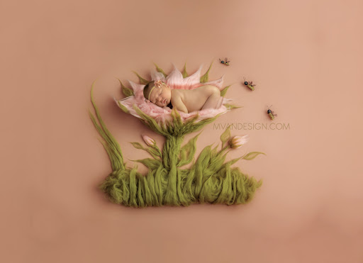 Michelle Vanlieshout Graphic Design & Photography, LLC. - Thumbnail