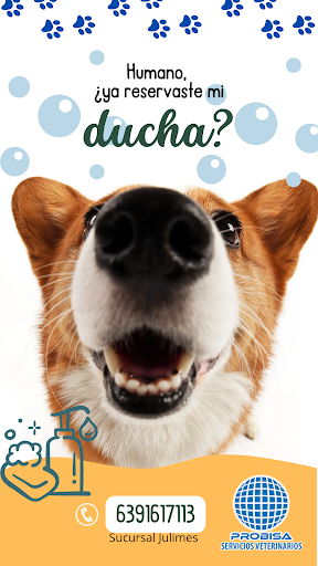 PROBISA SERVICIOS VETERINARIOS Julimes